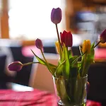 Neljaen Tuulen Tupa Bed & Breakfast *