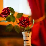 Bed & Breakfast Neljaen Tuulen Tupa