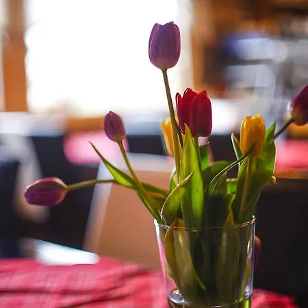 Neljaen Tuulen Tupa Bed & Breakfast *