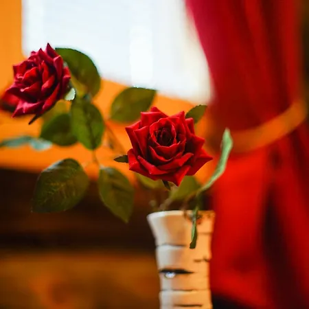 Bed & Breakfast Neljaen Tuulen Tupa