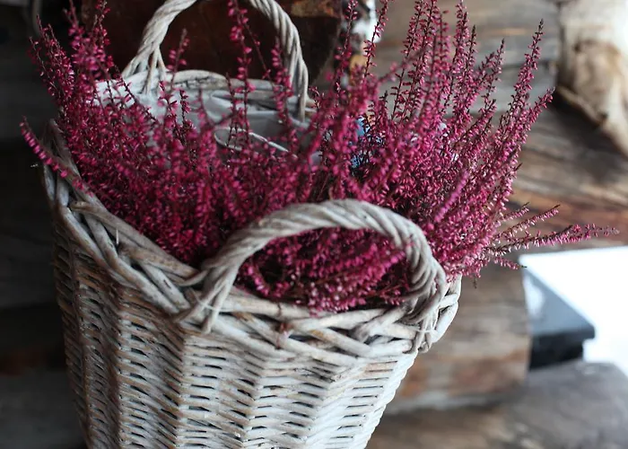 Neljän Tuulen Tupa Kaamanen