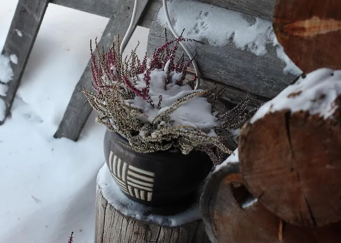 Neljaen Tuulen Tupa Bed and breakfast *