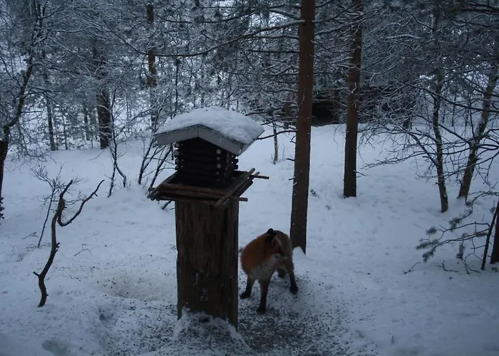 Neljän Tuulen Tupa Aamiaismajoitus Kaamanen