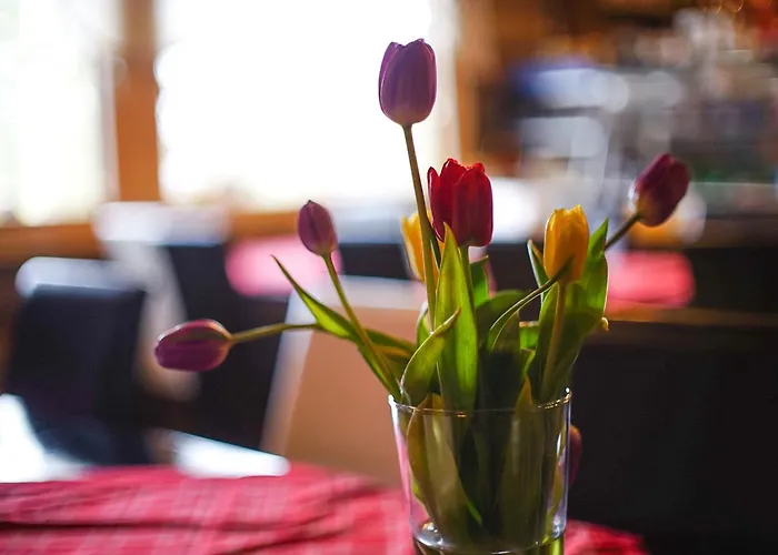 Neljaen Tuulen Tupa Bed and breakfast *