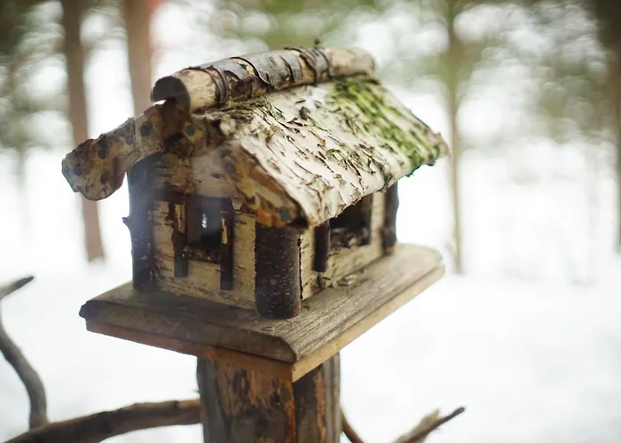 Bed and breakfast Neljaen Tuulen Tupa Kaamanen