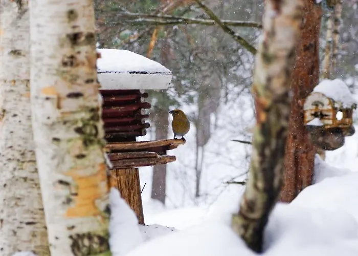Aamiaismajoitus Neljän Tuulen Tupa *