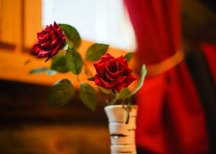 Bed and breakfast Neljaen Tuulen Tupa